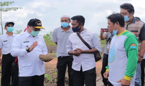 ubernur Kepulauan Bangka Belitung (Babel), Erzaldi Rosman, Rabu (21/10) bersama dengan Kepala Dinas Pertanian Babel, Juaidi dan pegiat lingkungan sekaligus petani lada, Zaiwan menanam porang dengan sistem tumpang sari di lokasi Hutan Pelawan, Namang, Bangka Tengah. 