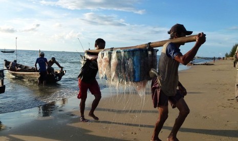 Ubur-ubur dipikul dari perahu ke kilang pengepakan yang berjarak 10 kilometer dari bibir pantai.