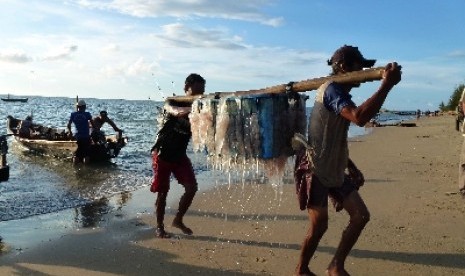 Ubur-ubur ditangkap para nelayan.