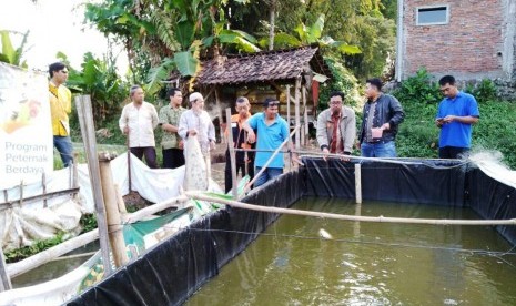  UKM Binaan Rumah Zakat Panen Lele