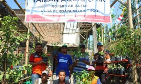 umah Zakat Sukseskan Urban Farming di Surakarta