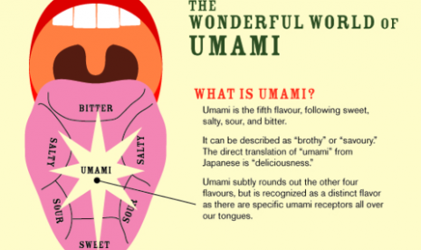 Umami. Ilustrasi