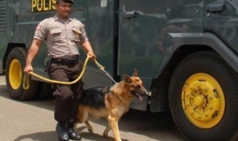 Unit 9 Kepolisian membawa anjing pelacak dan penghalau massa