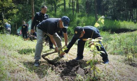 Universitas Muhammadiyah Malang (UMM) melalui Muhammadiyah University Rider (MuRid) dan Universitas Muhammadiyah Malang (UMM) Adventure Club berupaya membuka jalan akses warga di Pujon Hill UMM, beberapa waktu lalu. Mereka juga menanam bibit-bibit pohon untuk menghijaukan kawasan yang merupakan hibah dari Kementerian Lingkungan Hidup dan Kehutanan (KLHK) RI untuk UMM tersebut. 