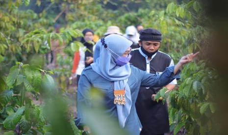 Untuk menggandakan semangat para pelaku UMKM khususnya anak muda di Bangka Belitung (Babel), istri Gubernur Kepulauan Bangka Belitung, Melati Erzaldi menginisiasi gerakan yang sama seperti Kamis Sinergis yaitu, Selasa Berdaya.  Hari ini Selasa (21/10), kegiatan Selasa Berdaya pertama kali dilakukan di markas Kopling Banjar yang merupakan singkatan dari Kopi Petaling Banjar, Desa Petaling, Kabupaten Bangka.