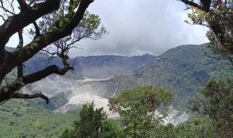 Upas Hill kawasan Tangkuban Parahu. 