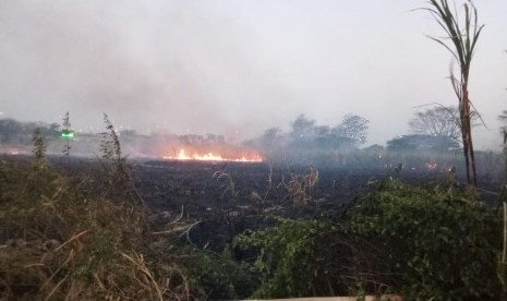 Upaya pemadaman kebakaran lahan ilalang yang terjadi di Desa Kanci, Cirebon, Jawa Barat (Jabar), Ahad (26/8).