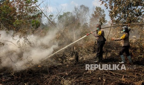  Upaya Pemadaman Kebakaran Lahan. Petugas Kepolisian berusaha memadamkan bara api yang membakar lahan gambut di Pekanbaru, Riau. 