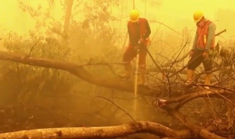 Upaya petugas memadamkan kebakaran hutan dan lahan (Ilustrasi)