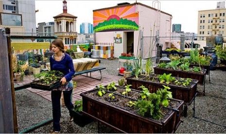 Urban Farming