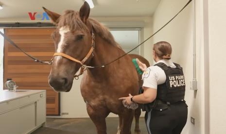 US Park Police jadi satuan berkuda tertua di AS.