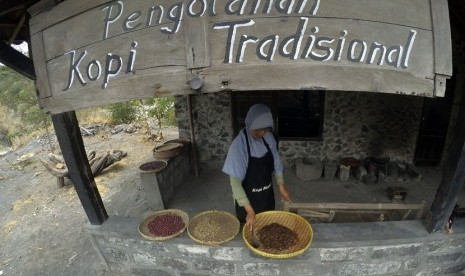 Usaha pengolahan kopi tradisional dari lereng Gunung Merapi, Yogyakarta.