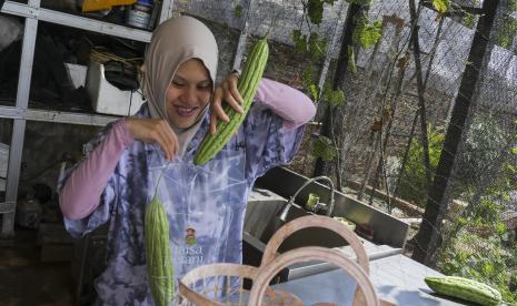 Valmaiza Jazira atau yang terkenal dengan nama Maisa merupakan seorang petani milenial.