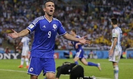 Vedad Ibisevic