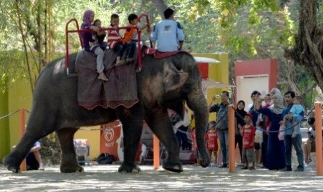 Viaitors ride an elephant at Surabaya Zoo in Surabaya, East Java. (Illustration)