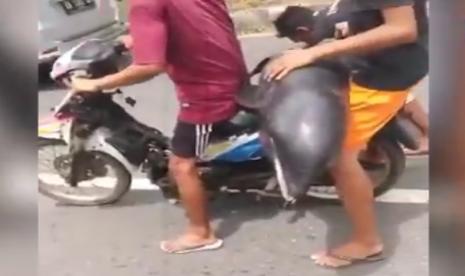 Video Viral Warga Bonceng Paus Kepala Melon Ditelusuri Republika Online