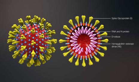 Virus Covid-19 (ilustrasi). Satuan Tugas (Satgas) Penanganan Covid-19 Kota Kupang, Provinsi Nusa Tenggara Timur menyatakan sebaran kasus Covid-19 di daerah itu masih terdapat di 24 dari 51 kelurahan.