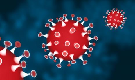 Kasus lumpuh layu akut ditemukan akibat infeksi virus Polio tipe dua (ilustrasi virus).