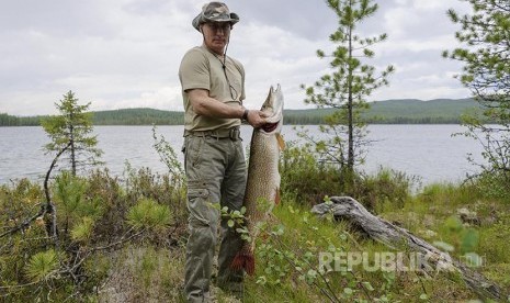 Vladimir Putin berpose dengan ikan pancingannya di wilayah Krasnoyarsk Distrik Siberian.