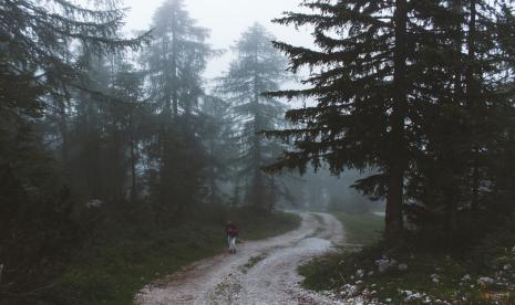 Vogel di Slovenia menawarkan pengalaman ski yang menantang dengan jalur biru dan merah sepanjang 20 kilometer.