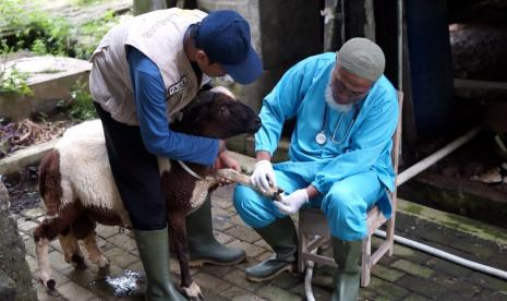 Wabah Penyakit Mulut dan Kuku (PMK) juga dikenal sebagai Foot and Mouth Disease (FMD), tak bisa dipandang sebelah mata. Mudah dan cepatnya virus ini menyebar dan menular tak hanya menyebabkan hewan sakit, tapi juga kematian.