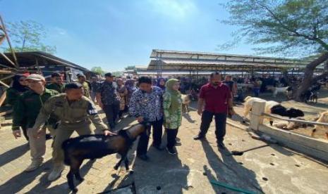   Wakil Bupati Gunungkidul, Heri Susanto, melakukan peninjauan di Pasar Hewan Siyono Harjo bersama Tim Pengendalian Inflasi Daerah ( TPID) DIY.