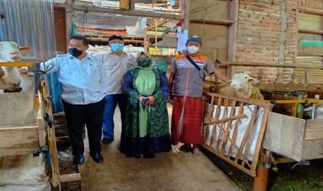 Wakil Bupati Muhammad Albar bersama tim Ahli dari Fakultas Peternakan Universitas Jenderal Soedirman yaitu Dr. Ir. Emmy Susanti, MP dan Fakultas Sains dan Teknologi Universitas Nahdlatul Ulama Purwokerto Ir. Tri Rahardjo Sutardi, SU berkenan melihat langsung ke kandang anggota BUMMas milik Sukirno warga RT 09 RW 02 dan Adam warga RT 14 RW 04.