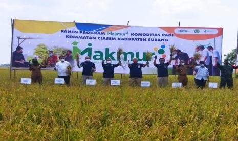 Wakil Direktur Utama Pupuk Indonesia, Nugroho Christijanto dan Direktur Utama PT Pupuk Kujang Cikampek Maryadi bersama petani melakukan panen program Makmur komoditas padi di Kecamatan Ciasem, Kabupaten Subang, Provinsi Jawa Barat, Senin (1/11).