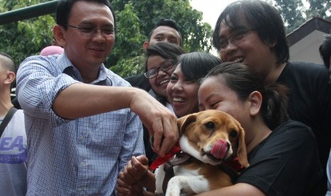 Wakil Gubernur DKI Jakarta, Basuki Tjahaya Purnama (kiri) menyapa komunitas pecinta anjing ketika menghadiri peringatan Hari Rabies Sedunia di taman Langsat, Jakarta, Minggu (28/9).