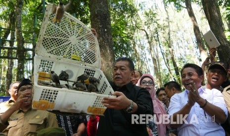 Wakil Gubernur Jawa Barat Deddy Mizwar melepas burung pada acara Kampanye Pelestarian Burung-burung Liar di Jawa Barat, di Hutan Raya H Djuanda (Tahura), Cimenyan, Kabupaten Bandung, Selasa (25/7). 