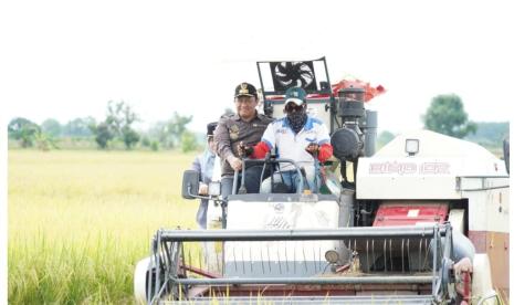 Wakil Gubernur (Wagub) Kalimantan TengahEdy Pratowo melaksanakan Panen Raya Padi di Kawasan Food Estate, yang berlokasi di Desa Belanti Siam Blok A, Kecamatan Pandih Batu, Kabupaten Pulang Pisau, Senin (1/4/2024).