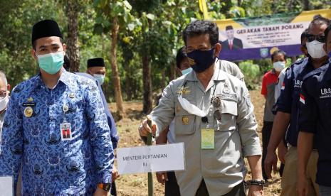 Wakil Ketua DPRD Sulawesi Selatan, Syahruddin Alrif saat mendampingi kunjungan Mentan di Kabupaten Pangkep beberapa waktu lalu. Kementerian Pertanian (Kementan) bersama Pemerintah Kabupaten Pangkep mulai menggarap lahan porang di Kampung Celai, Kelurahan Balleanggi, Kecamatan Balloci, Sulawesi Selatan. Di sana, lahan porang yang digarap kurang lebih mencapai 550 hektare dari total 1000 hektare lahan yang disiapkan di 2 Kecamatan.