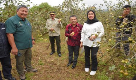 Wakil Ketua Komisi IV DPR RI Anggia Ermarini memimpin Kunjungan Kerja Spesifik Komisi IV DPR RI ke lokasi Wisata Petik Apel Mandiri di Tulungrejo, Kecamatan Bumiaji, Kota Batu, Jawa Timur, Kamis (15/9/2022).