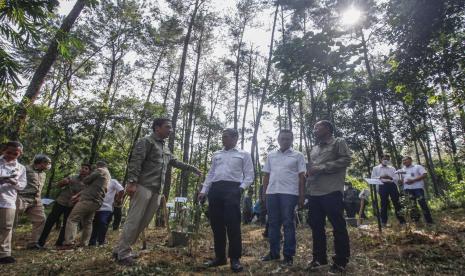 Kolaborasi Pertamina dan Perhutani.