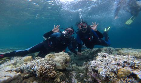 Wakil Menteri Desa, Pembangunan Daerah Tertinggal, dan Transmigrasi (Wamendes PDTT), Budi Arie Setiadi menyelam di Laut Wakatobi, Sulawesi Tenggara, Sabtu (21/11). Budi Arie menyelam dipandu instruktur dari dive center yang dikelola oleh Badan Usaha Milik Desa (BUMDes) Bersama Kanturu.