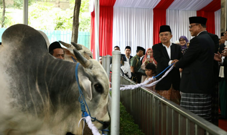 Wakil Presiden Jusuf Kalla saat menyerahkan secara simbolis hewan kurban di Masjid Istiqlal, Jakarta, Rabu (22/8).