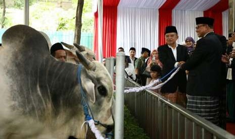 Wakil Presiden Jusuf Kalla saat menyerahkan secara simbolis hewan kurban di Masjid Istiqlal, Jakarta, Rabu (22/8).  