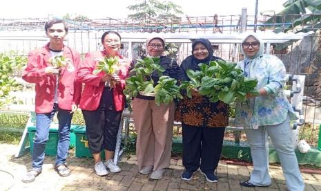 Wakil Rektor Universitas Mercu Buana (UMB) Jakarta, Dr. Erna Setiyani, M.Si (kedua dari kanan), memperlihatkan hasil tanaman hidroponik di Kelurahan Meruya Selatan, Jakarta Barat.