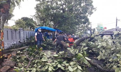 Bencana Pohon Tumbang Landa Sejumlah Lokasi di Kota Sukabumi