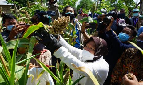 Wali Kota Surabaya Tri Rismaharini meresmikan Taman Hutan Raya (Tahura) Lempung yang beralamat  di Jalan Lempung Perdana IV, Kelurahan Lontar, Kecamatan Sambikerep, Surabaya, Kamis (19/11).