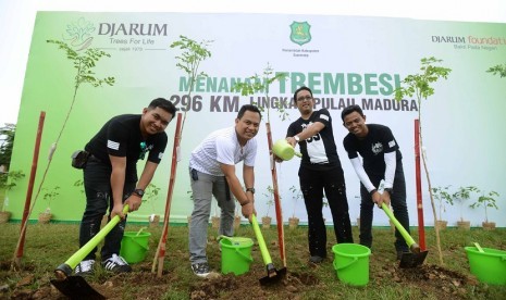 Wali tanam pohon trembesi di program penanaman pohon Trembesi 296 kilometer sepanjang lingkar Pulau Madura