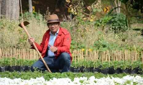 Walikota Bandung Ridwan Kamil saat meninjau Kebun Pembibitan Bunga di Doi Tung, Chiang Rai, Thailand, Kamis (12/2)