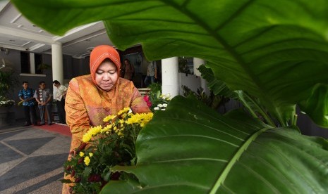 Walikota Surabya Tri Rismaharini menata bunga di halaman Balai Kota Surabaya, Jawa Timur, Kamis (12/3).