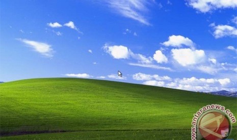 Wallpaper windows XP