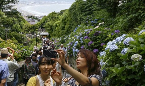 Wanita berswafoto dengan latar bunga hydrangea di Kuil Jojuin dekat Pantai Kamakura, barat daya Tokyo, di bulan Juni. 