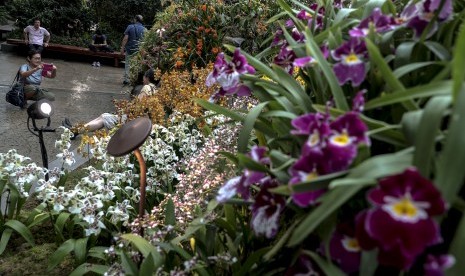 Wanita mengambil gambar bunga anggreka yang dipamerkan di Cloud Forest Gardens by the Bay Singapura. Singapura memiliki beragam atraksi wisata yang menarik.