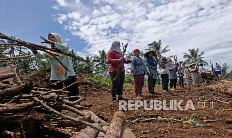 Warga bergotong royong saat membuka lahan untuk permukiman baru di perladangan dusun Diwak, Karangkajen, Secang, Magelang, Jawa Tengah, Ahad (6/3/2022). Sebanyak 75 kepala keluarga yang rumahnya terdampak pembangunan proyek jalan tol Bawen-Yogyakarta mendapat ganti lahan gratis secara keseluruhan seluas empat hektare dari tokoh masyarakat setempat bernama As