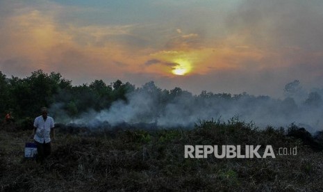 Warga berupaya memadamkan kebakaran lahan dengan alat seadanya saat terjadi kebakaran lahan gambut di Kecamatan Tambang, Kabupaten Kampar, Riau