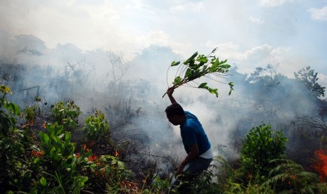 Warga berusaha memadamkan api dengan menggunakan dahan pohon ketika terjadi kebakaran lahan di Pekanbaru, Riau, Selasa (23/8).