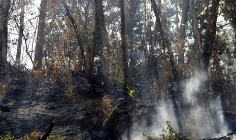 Warga berusaha memadamkan api yang membakar kawasan hutan di Desa Bili-Bili, Kecamatan Bontomarannu, Kabupaten Gowa, Sulawesi Selatan, Kamis (1/10). 